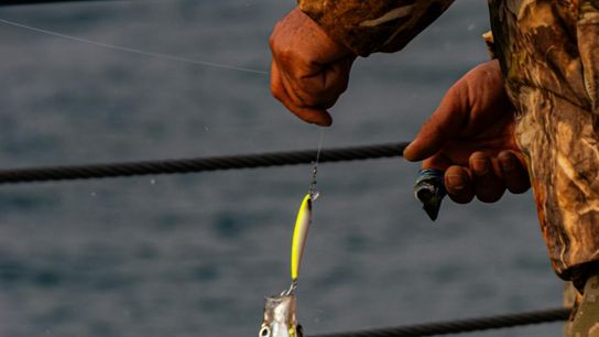 Catch-and-Release Season Kicks Off in Maryland: A Guide for New Residents
